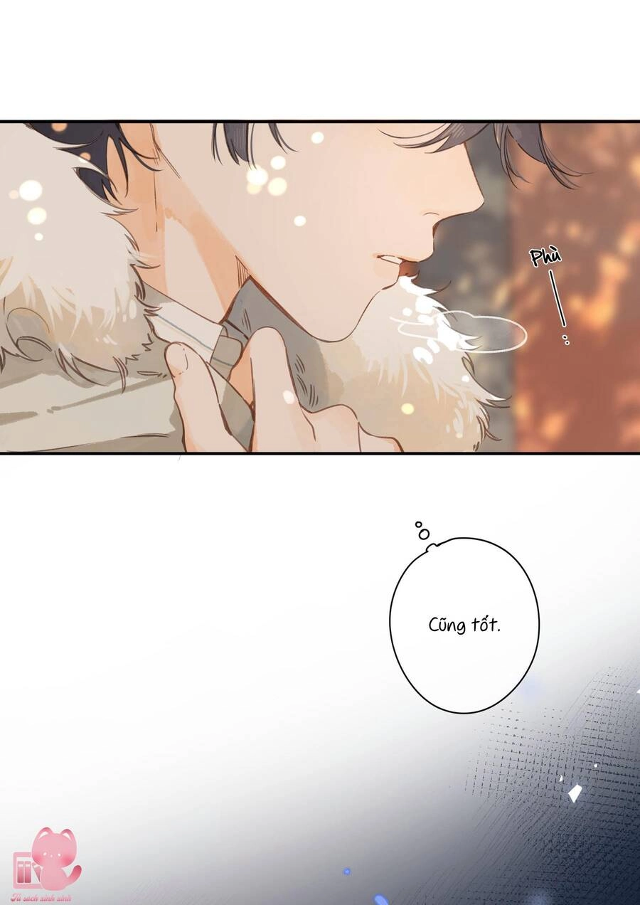 Tiệm Hoa Hướng Dương Góc Phố Chapter 65 - 5