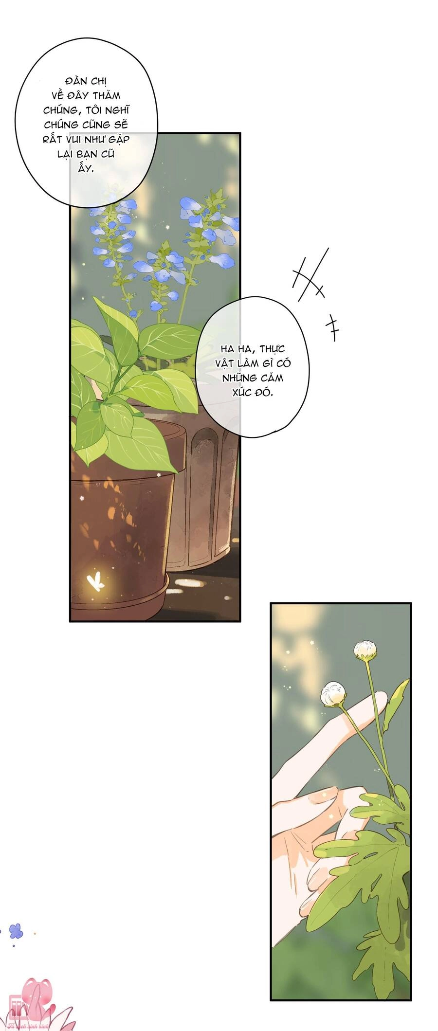 Tiệm Hoa Hướng Dương Góc Phố Chapter 65 - 25