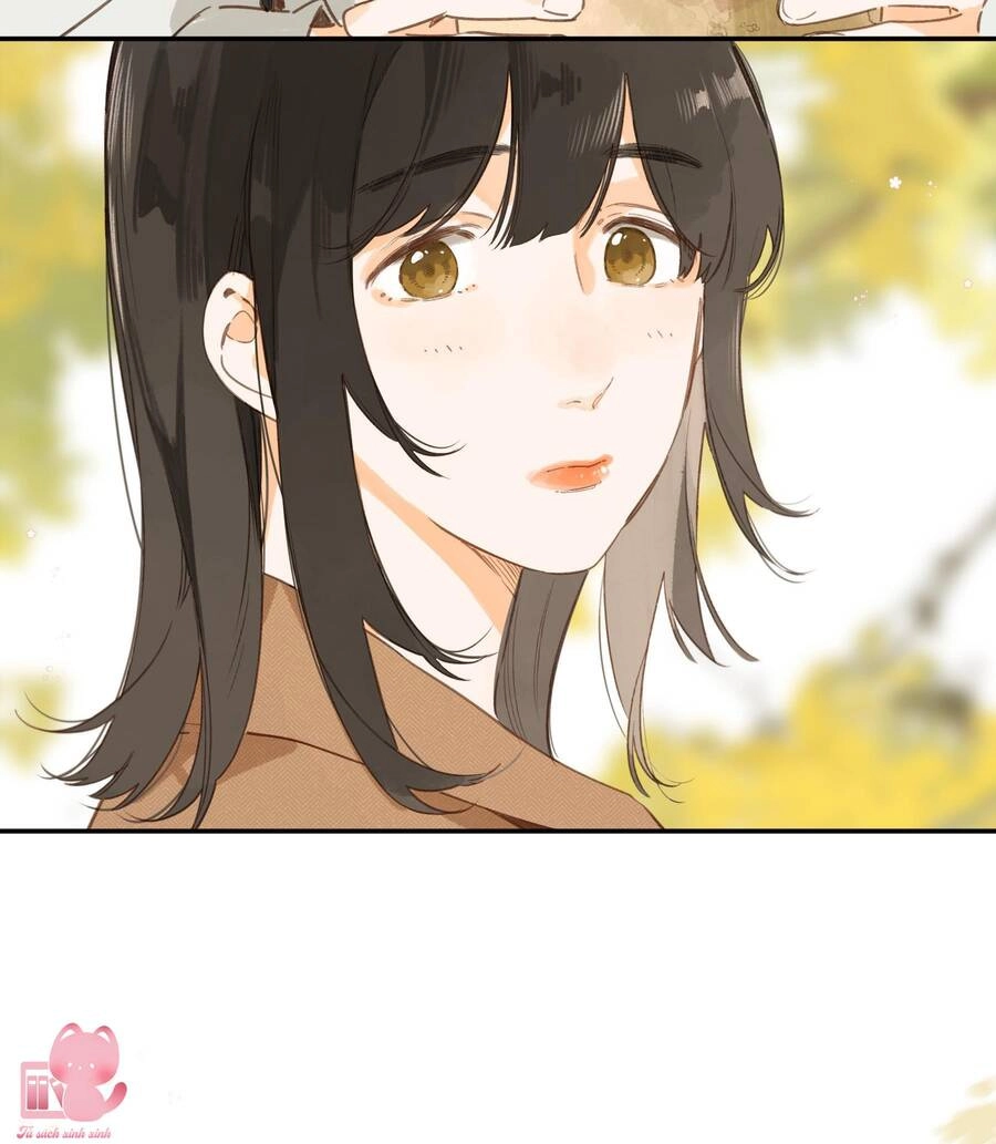 Tiệm Hoa Hướng Dương Góc Phố Chapter 65 - 41