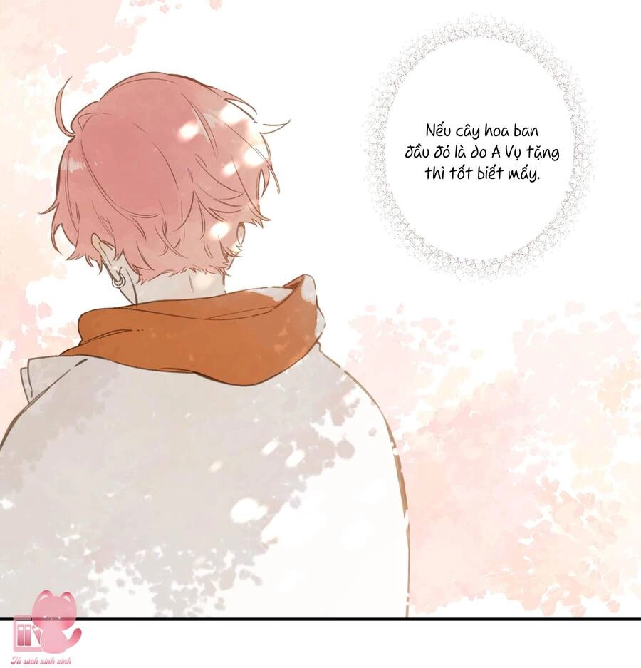 Tiệm Hoa Hướng Dương Góc Phố Chapter 68 - 5