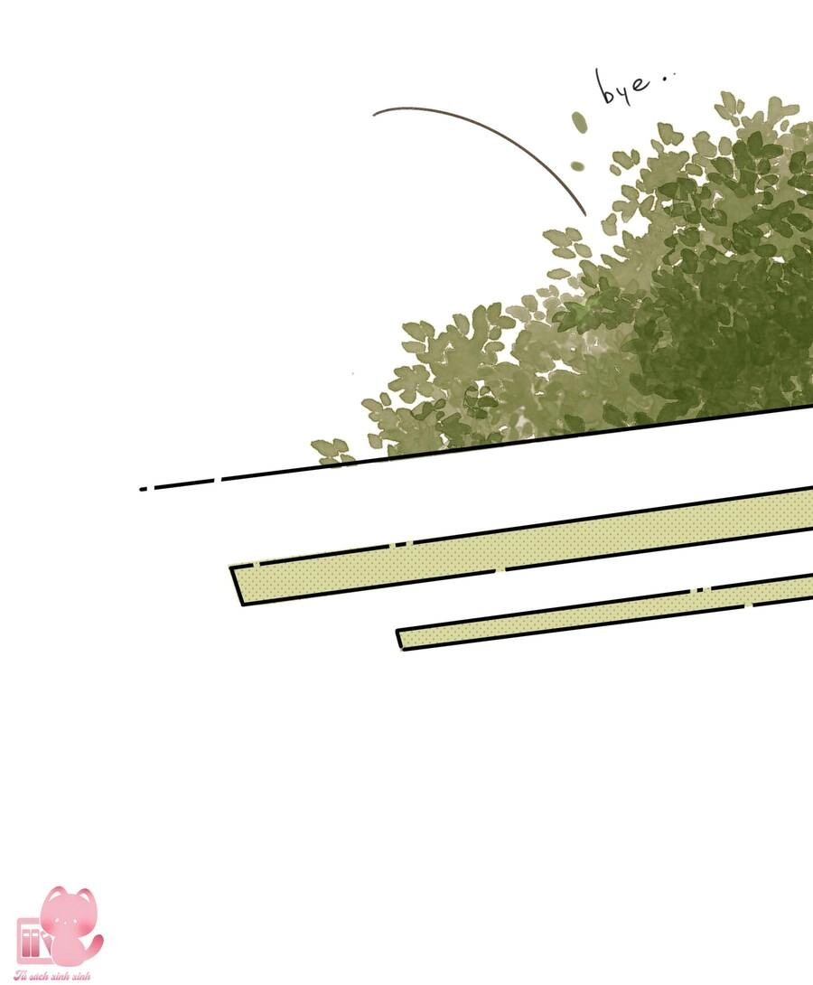 Tiệm Hoa Hướng Dương Góc Phố Chapter 68 - 13