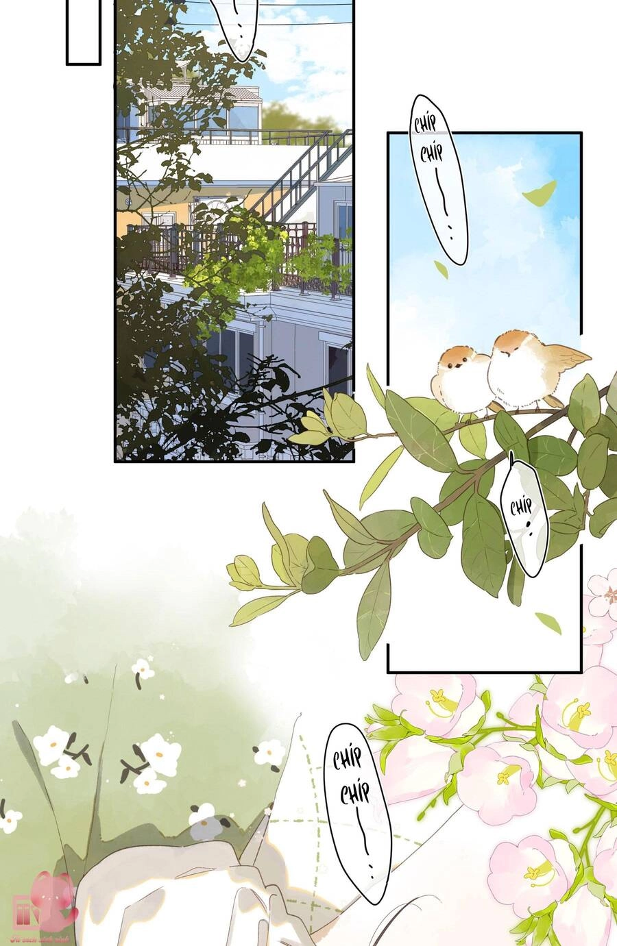 Tiệm Hoa Hướng Dương Góc Phố Chapter 72 - 4