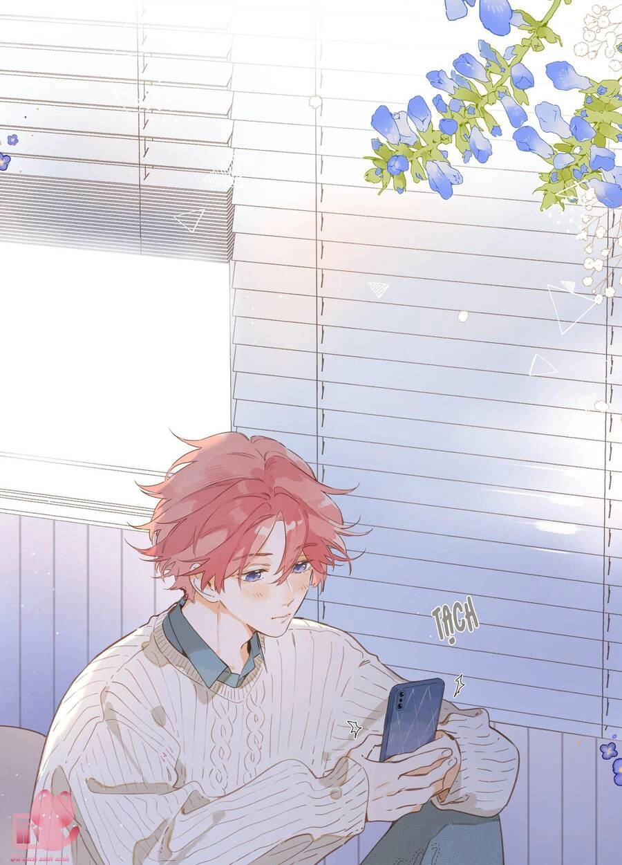 Tiệm Hoa Hướng Dương Góc Phố Chapter 72 - 15