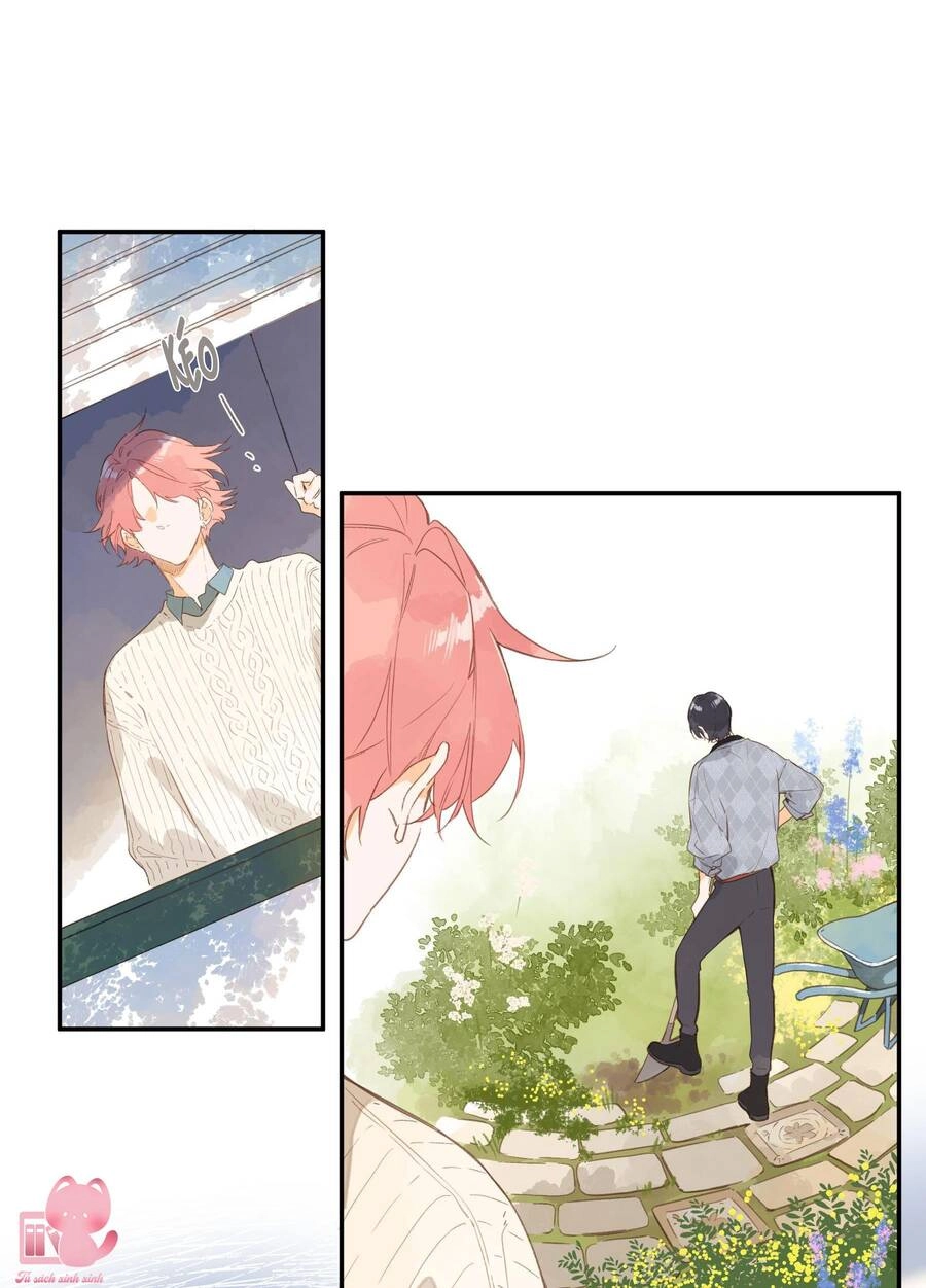 Tiệm Hoa Hướng Dương Góc Phố Chapter 72 - 17