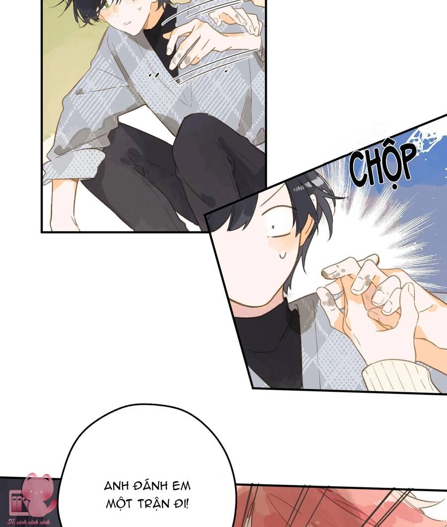 Tiệm Hoa Hướng Dương Góc Phố Chapter 72 - 24