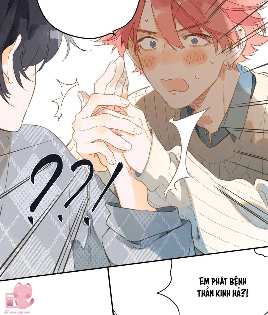 Tiệm Hoa Hướng Dương Góc Phố Chapter 72 - 25