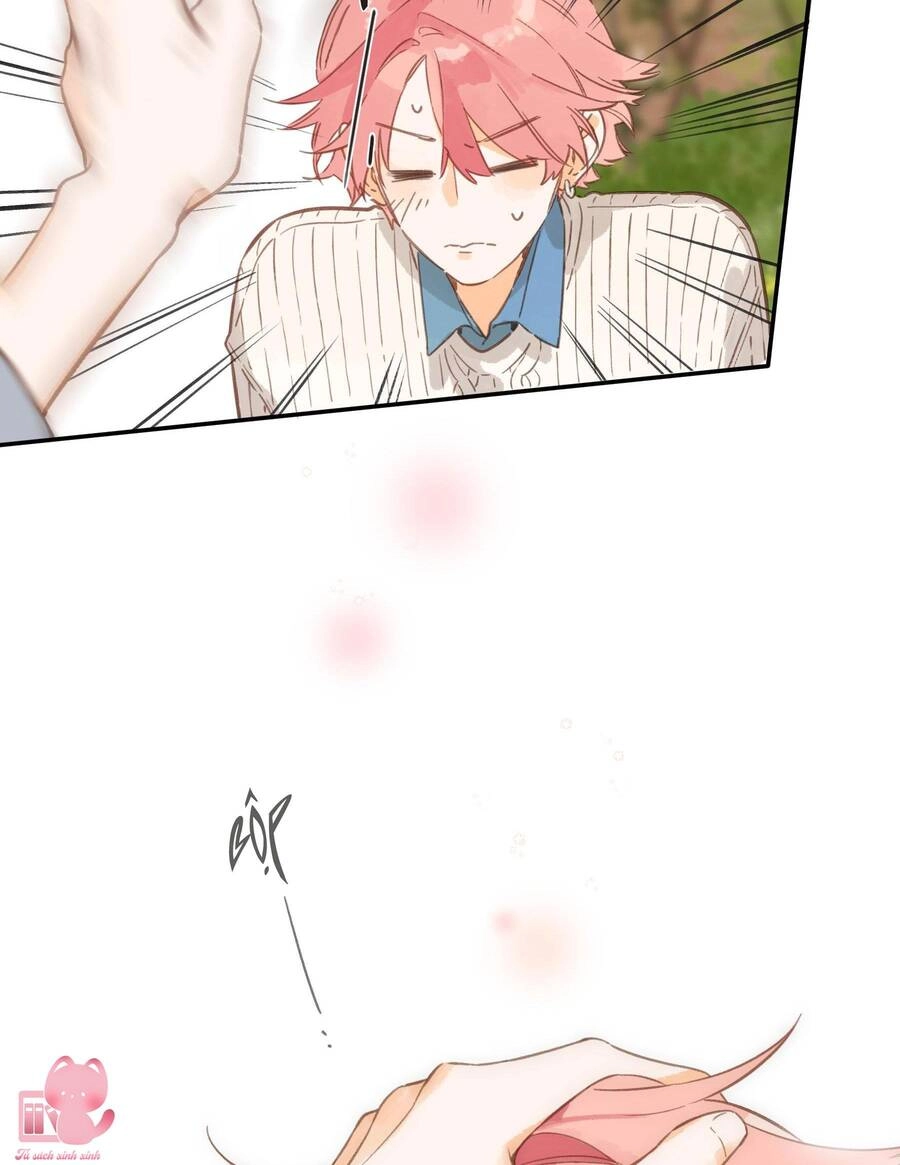 Tiệm Hoa Hướng Dương Góc Phố Chapter 72 - 35