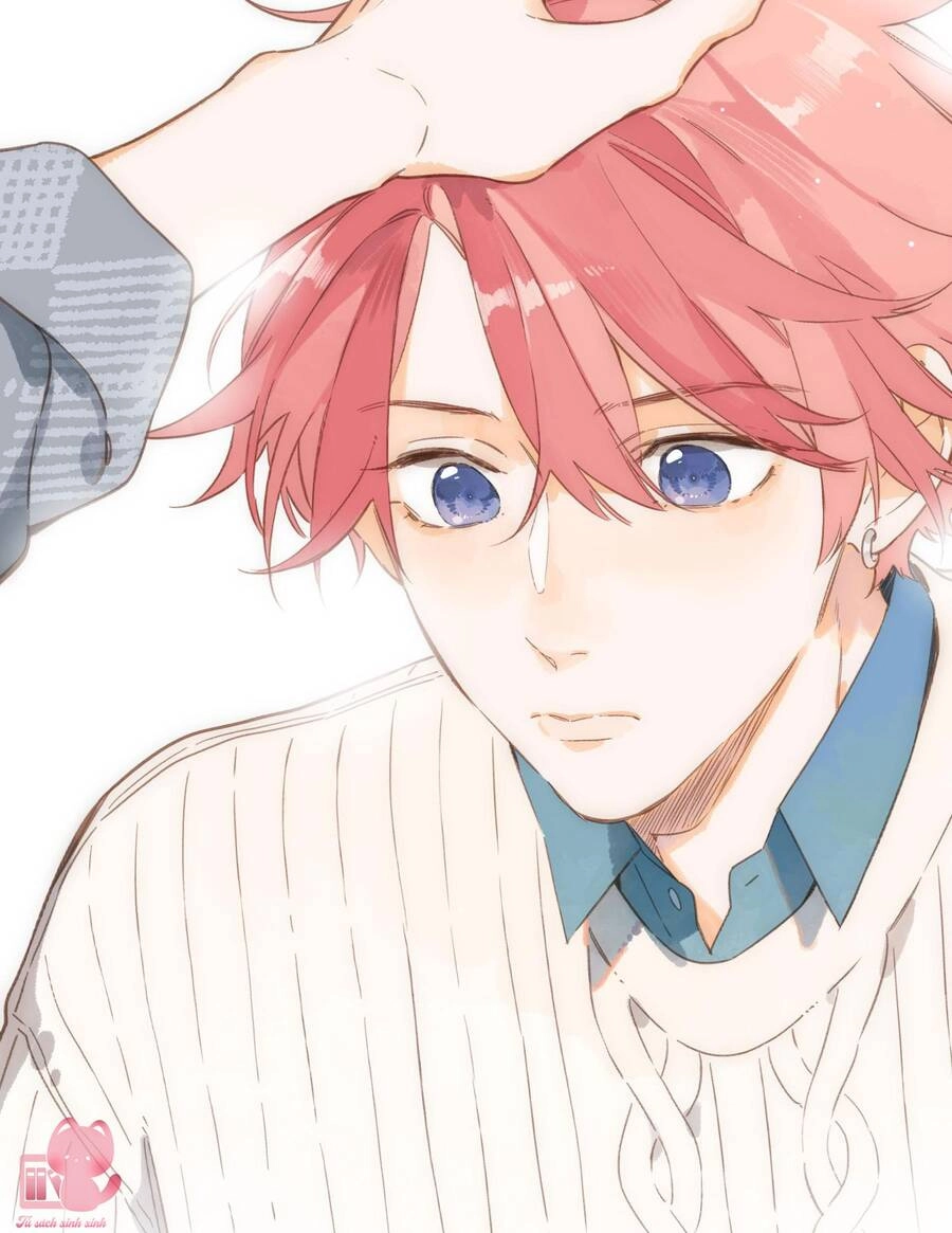 Tiệm Hoa Hướng Dương Góc Phố Chapter 72 - 36