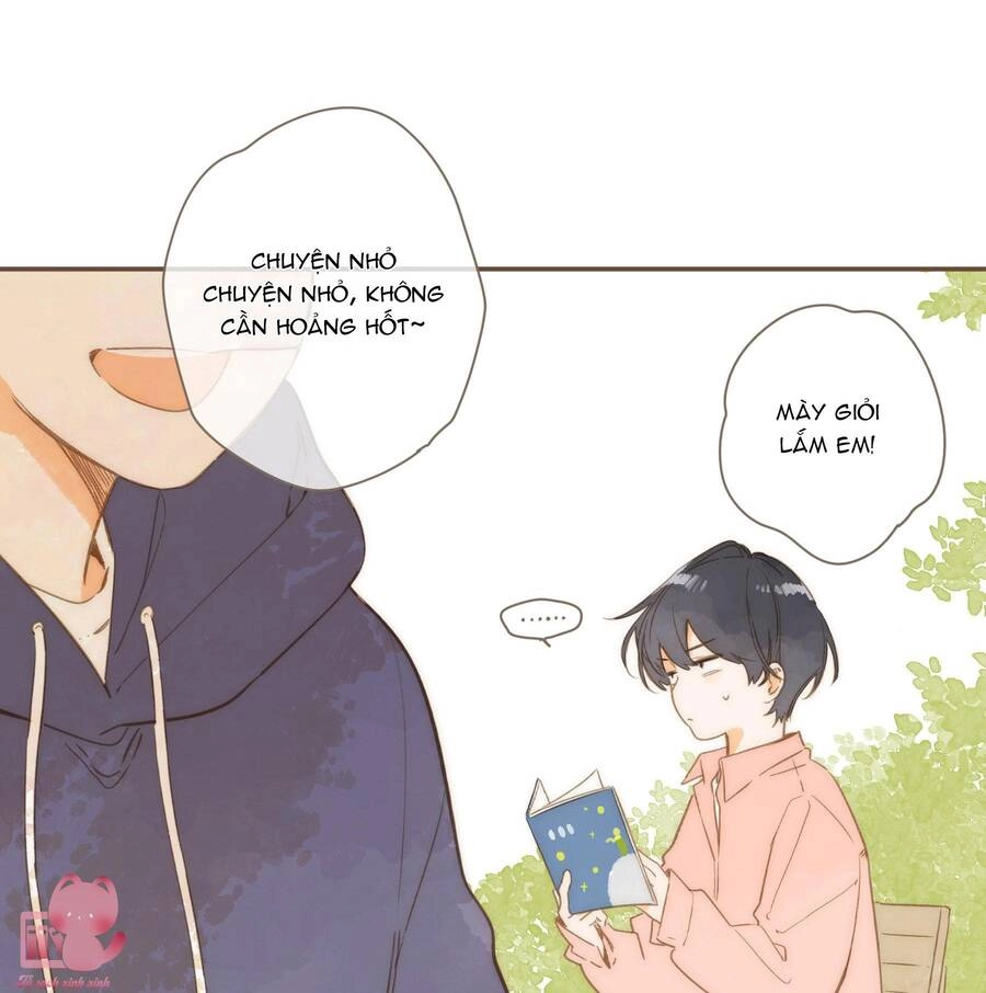 Tiệm Hoa Hướng Dương Góc Phố Chapter 72 - 46