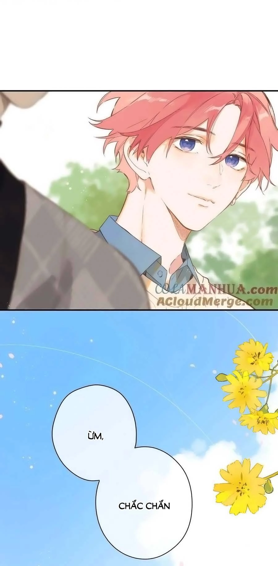 Tiệm Hoa Hướng Dương Góc Phố Chapter 73 - 28