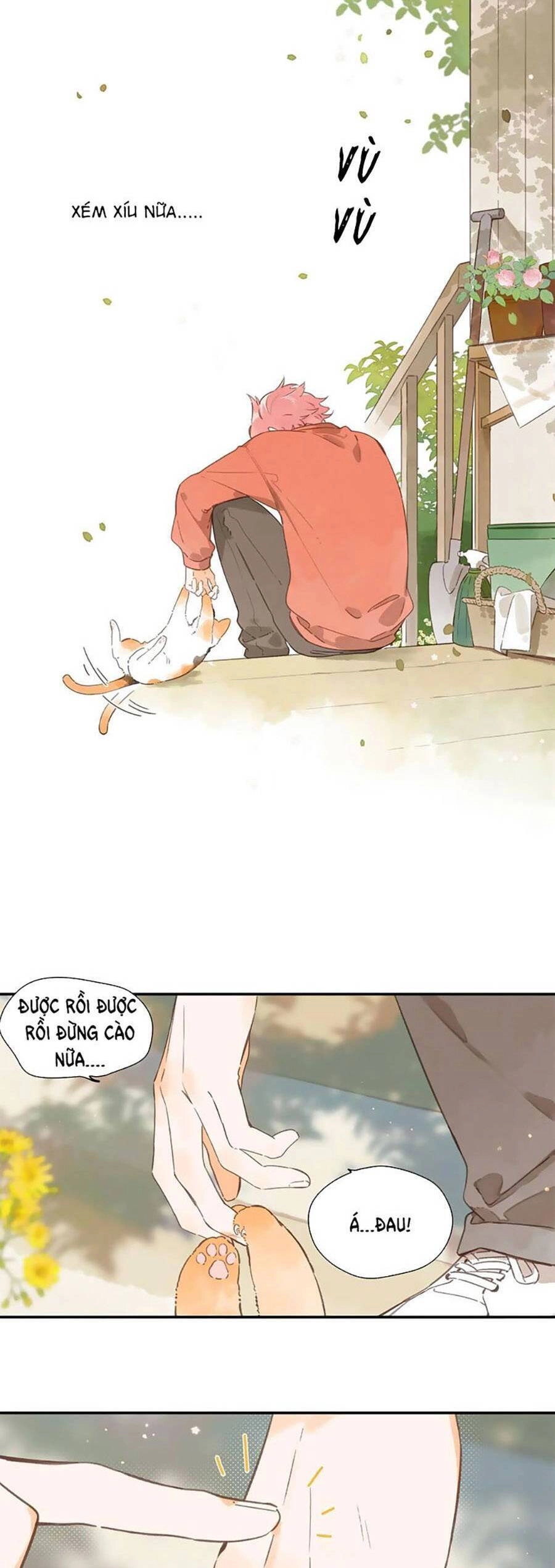 Tiệm Hoa Hướng Dương Góc Phố Chapter 76 - 4