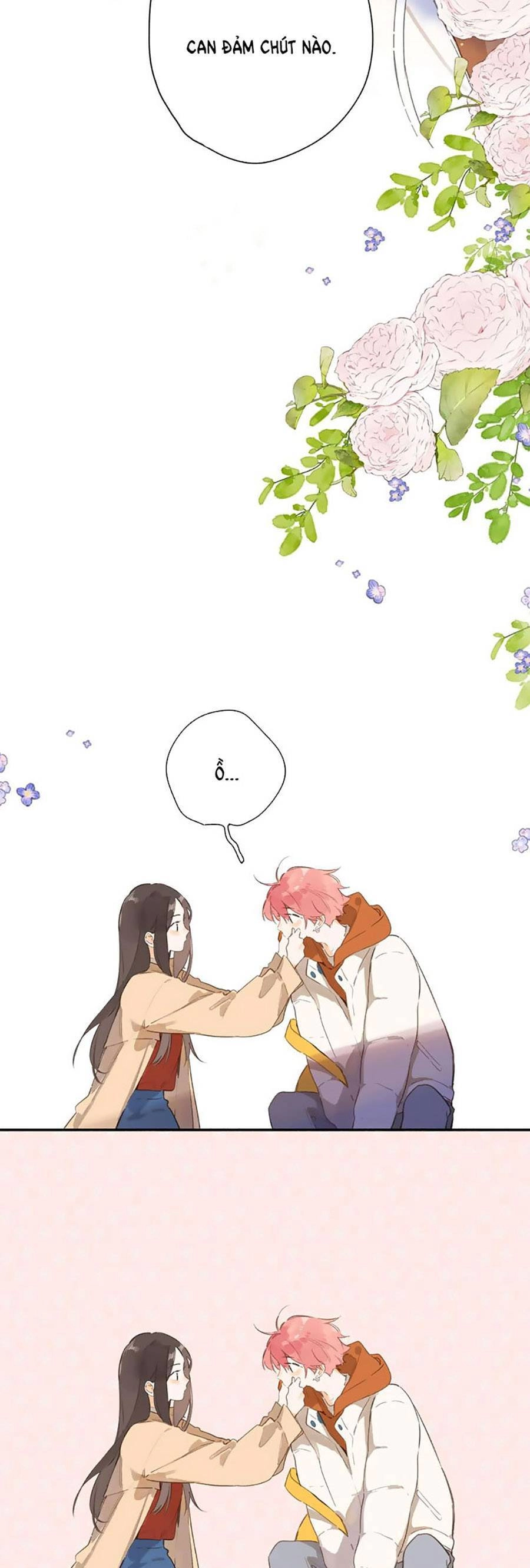 Tiệm Hoa Hướng Dương Góc Phố Chapter 77 - 12