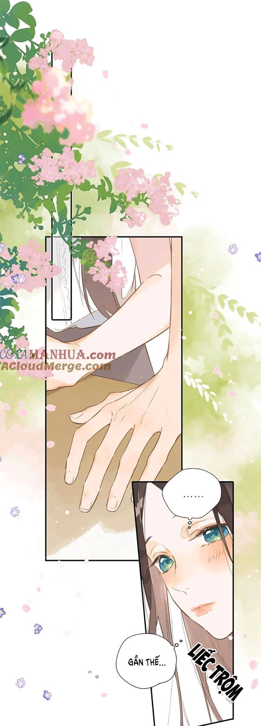 Tiệm Hoa Hướng Dương Góc Phố Chapter 79 - 21