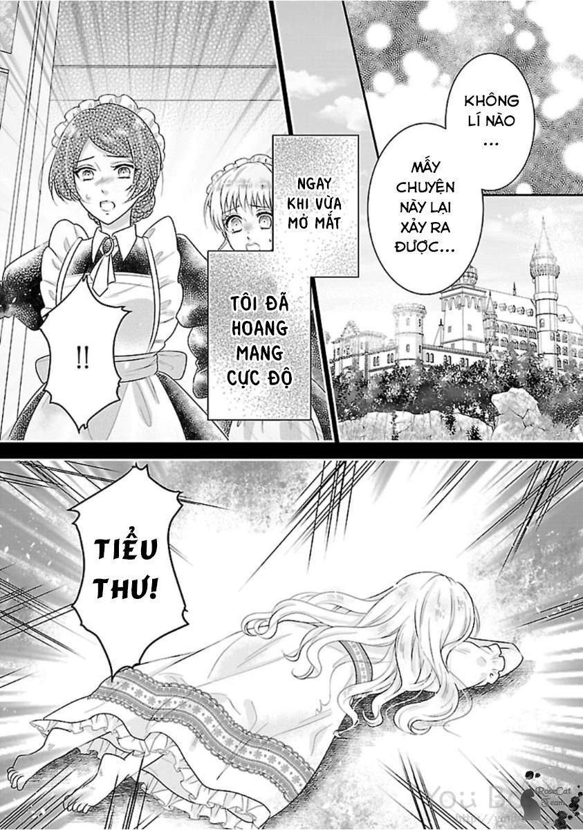 Nàng Lọ Lem Giả Mạo Chapter 1 - 7