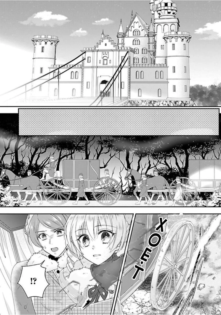 Nàng Lọ Lem Giả Mạo Chapter 2 - 33