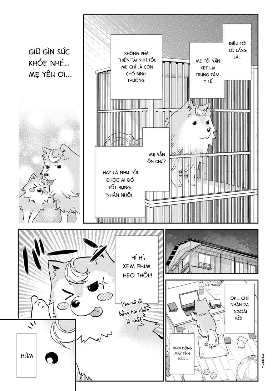 Real Account Ii Chapter 165 - 11