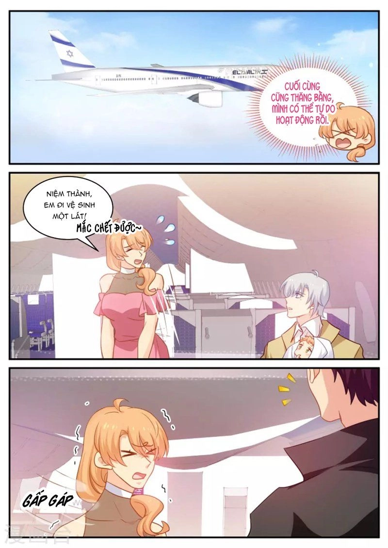 Kim Bài Điềm Thê Chapter 181 - 8