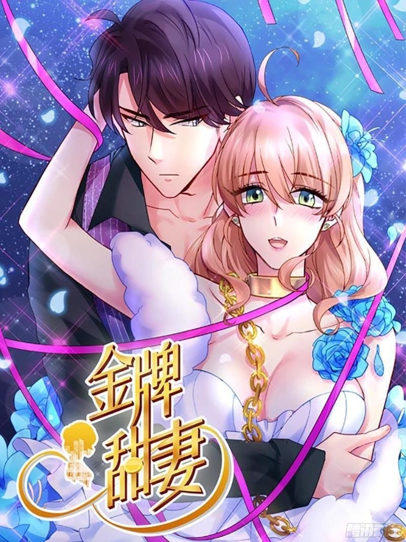 Kim Bài Điềm Thê Chapter 205 - 1