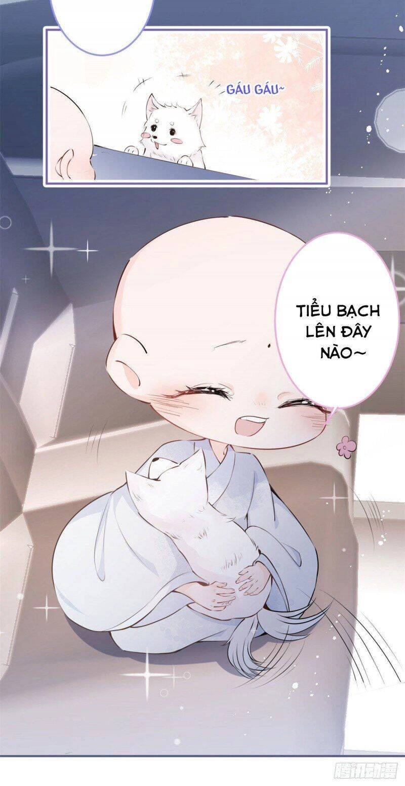 Ta Có Năm Đại Lão Ba Ba Chapter 8 - 8