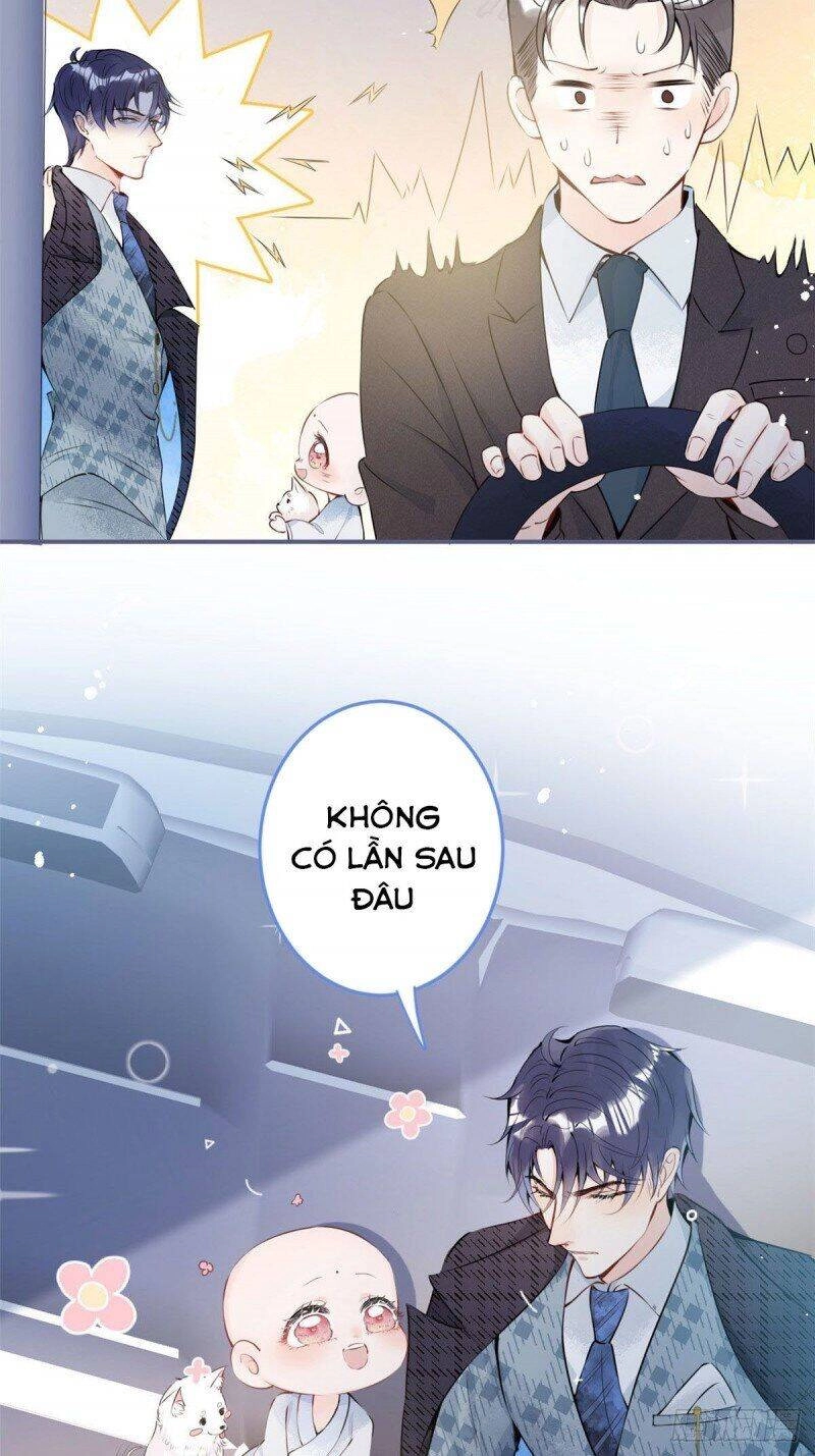 Ta Có Năm Đại Lão Ba Ba Chapter 8 - 13