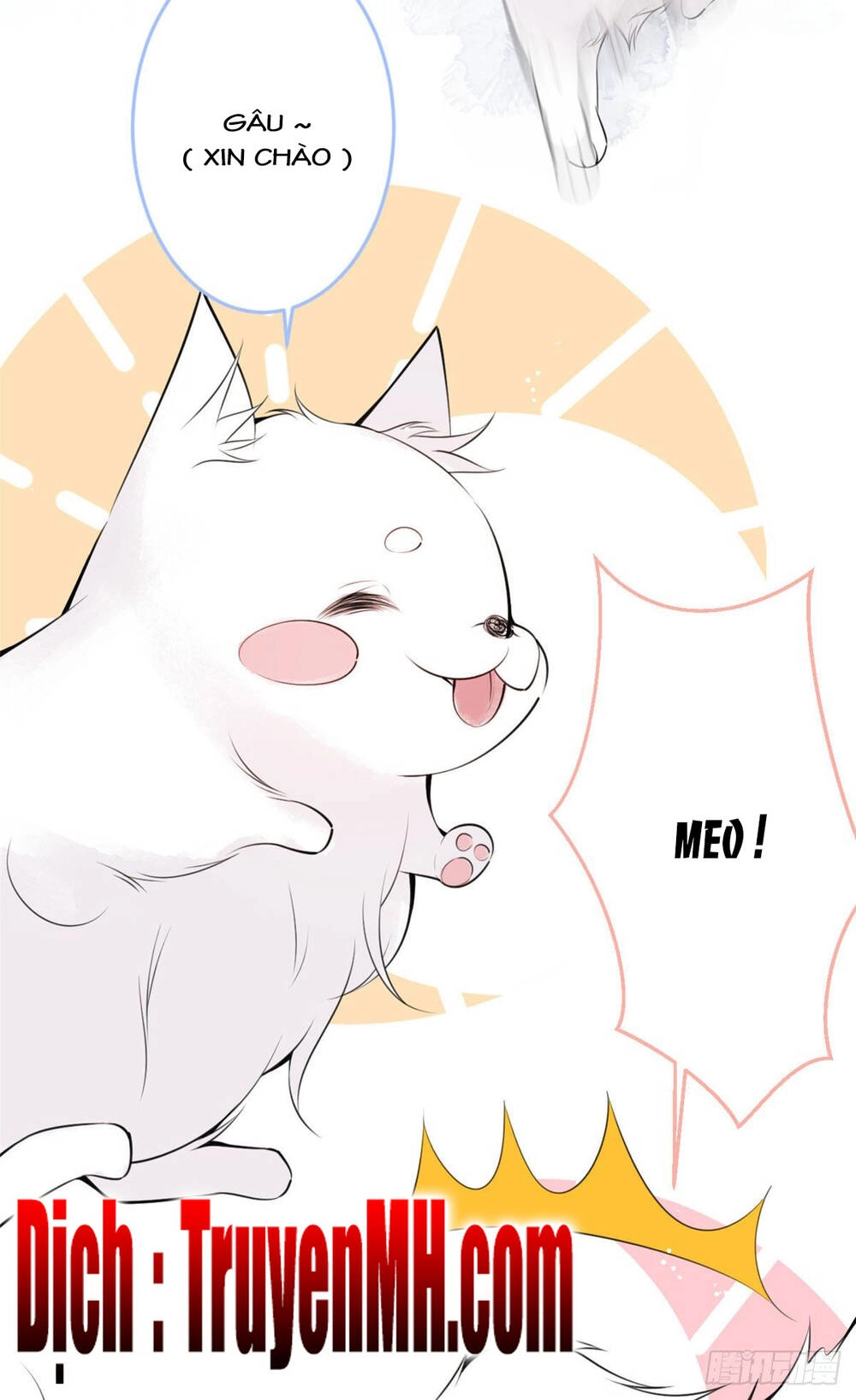 Ta Có Năm Đại Lão Ba Ba Chapter 24 - 13