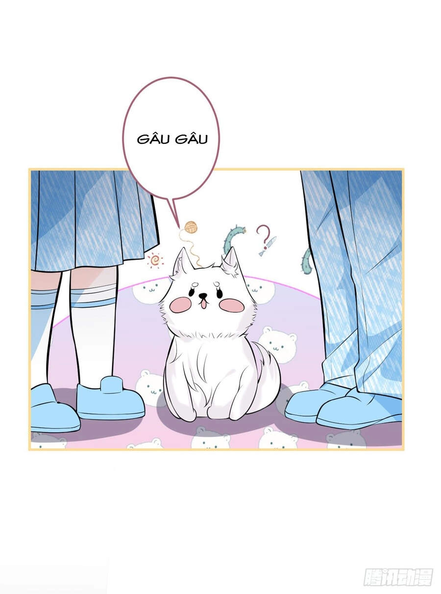 Ta Có Năm Đại Lão Ba Ba Chapter 127 - 7