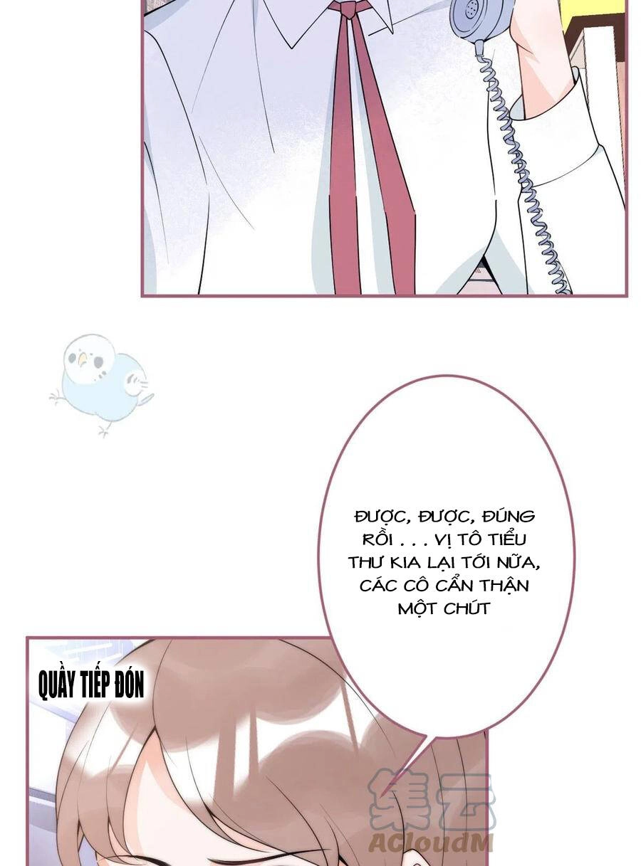 Ta Có Năm Đại Lão Ba Ba Chapter 161 - 15