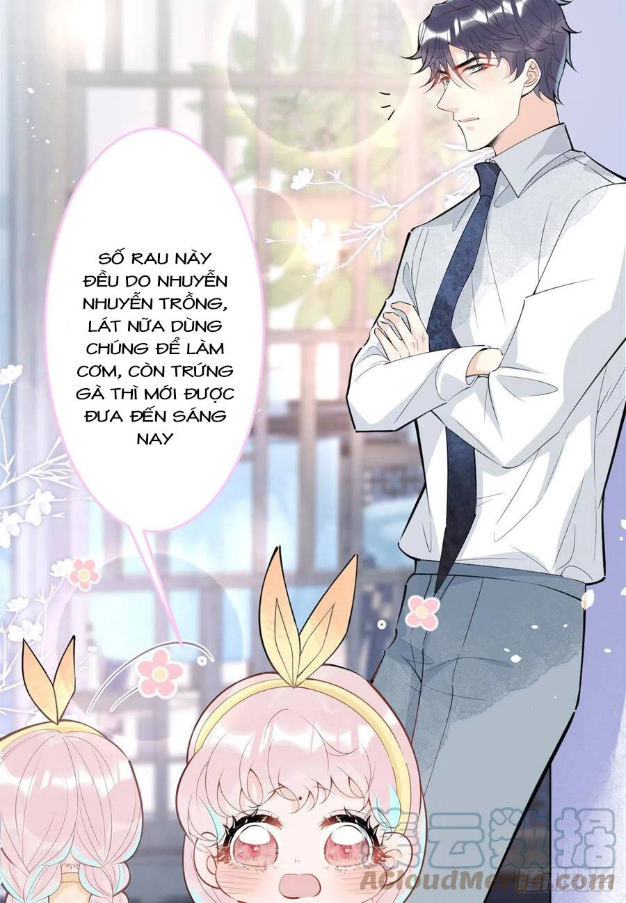 Ta Có Năm Đại Lão Ba Ba Chapter 178 - 11