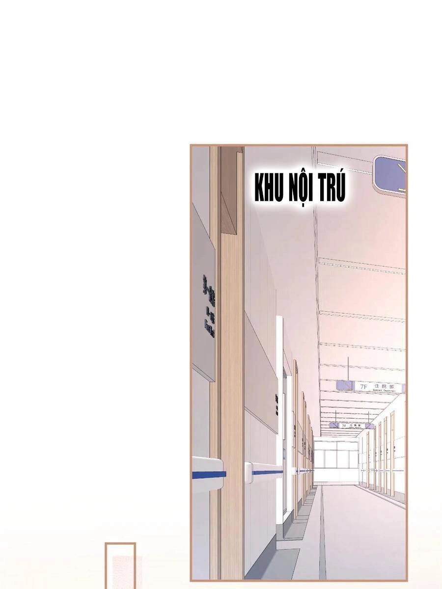 Ta Có Năm Đại Lão Ba Ba Chapter 208 - 17