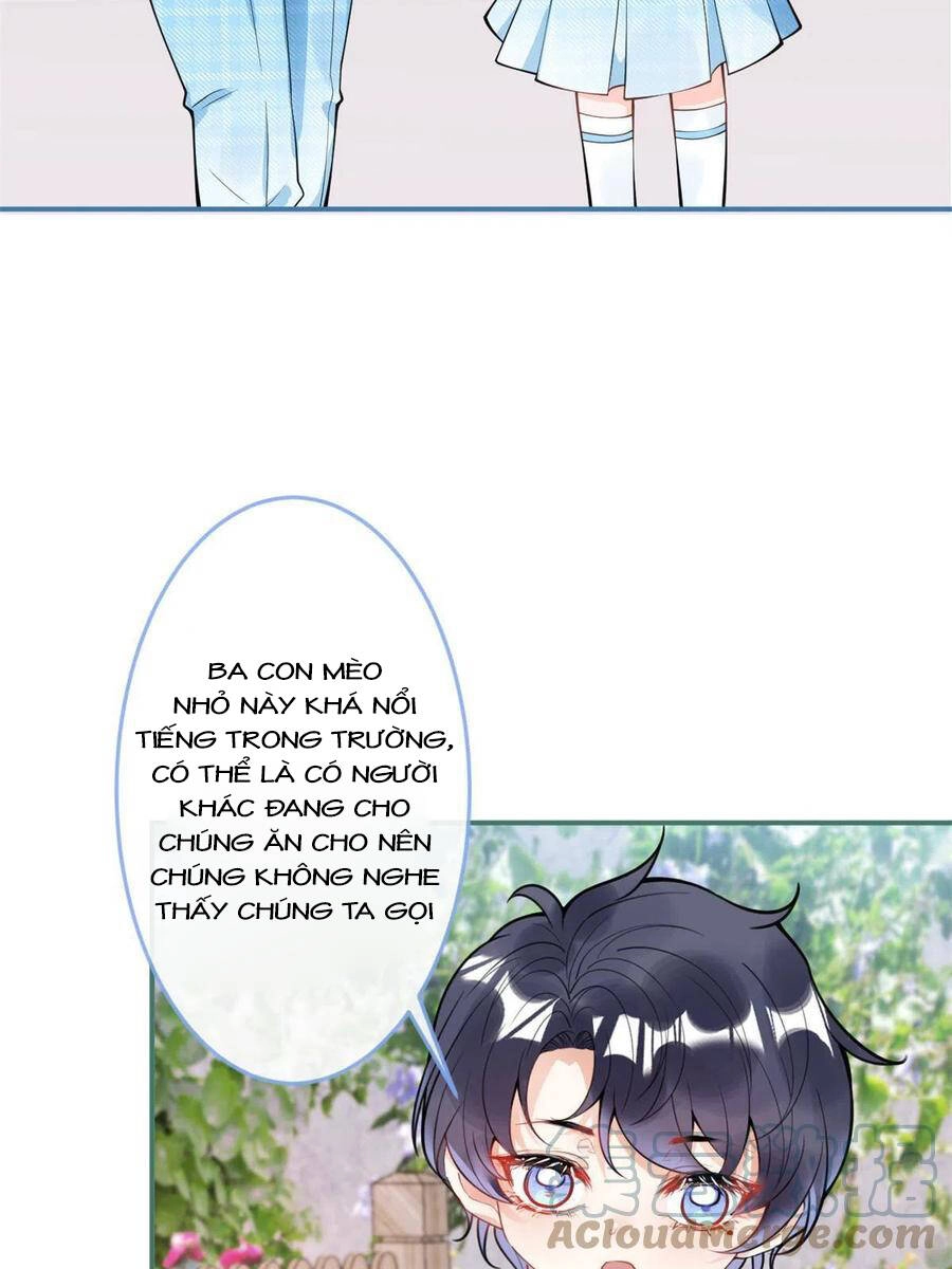 Ta Có Năm Đại Lão Ba Ba Chapter 216 - 9