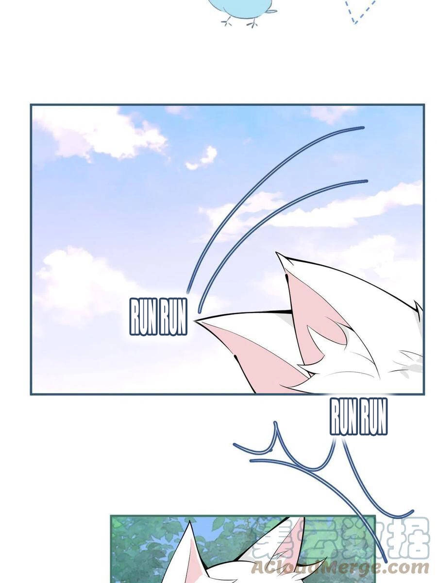 Ta Có Năm Đại Lão Ba Ba Chapter 216 - 13