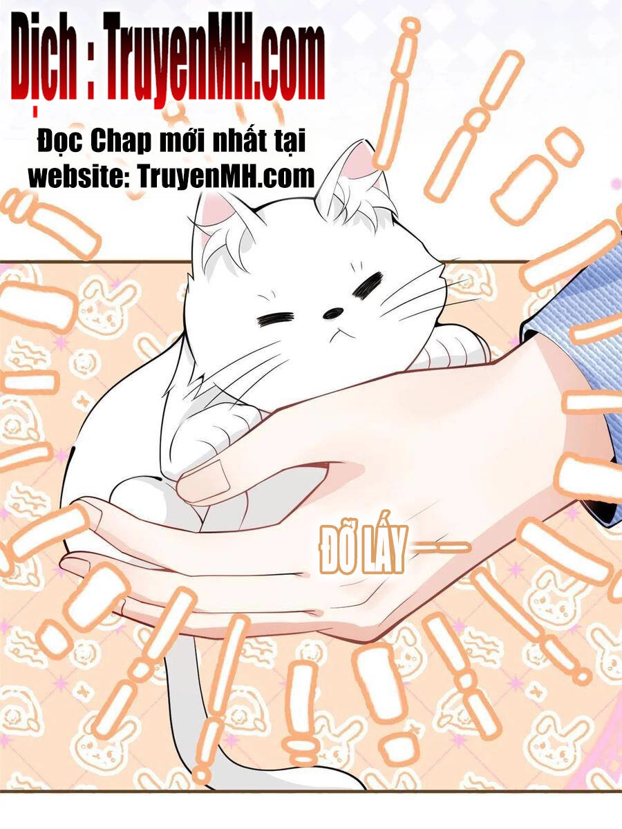 Ta Có Năm Đại Lão Ba Ba Chapter 216 - 16