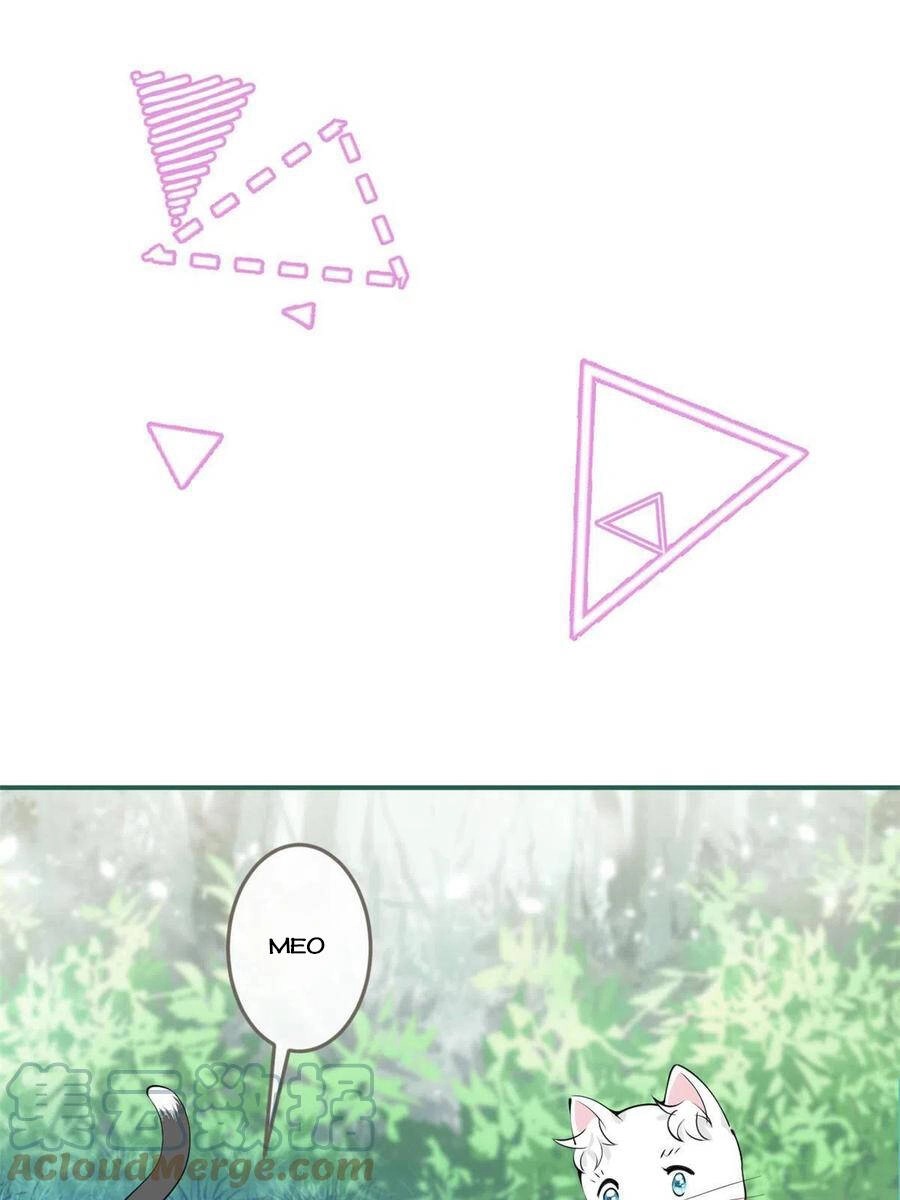 Ta Có Năm Đại Lão Ba Ba Chapter 216 - 19