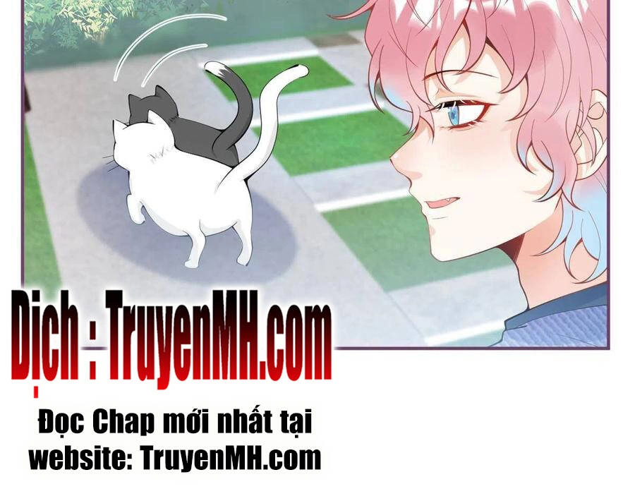 Ta Có Năm Đại Lão Ba Ba Chapter 216 - 24