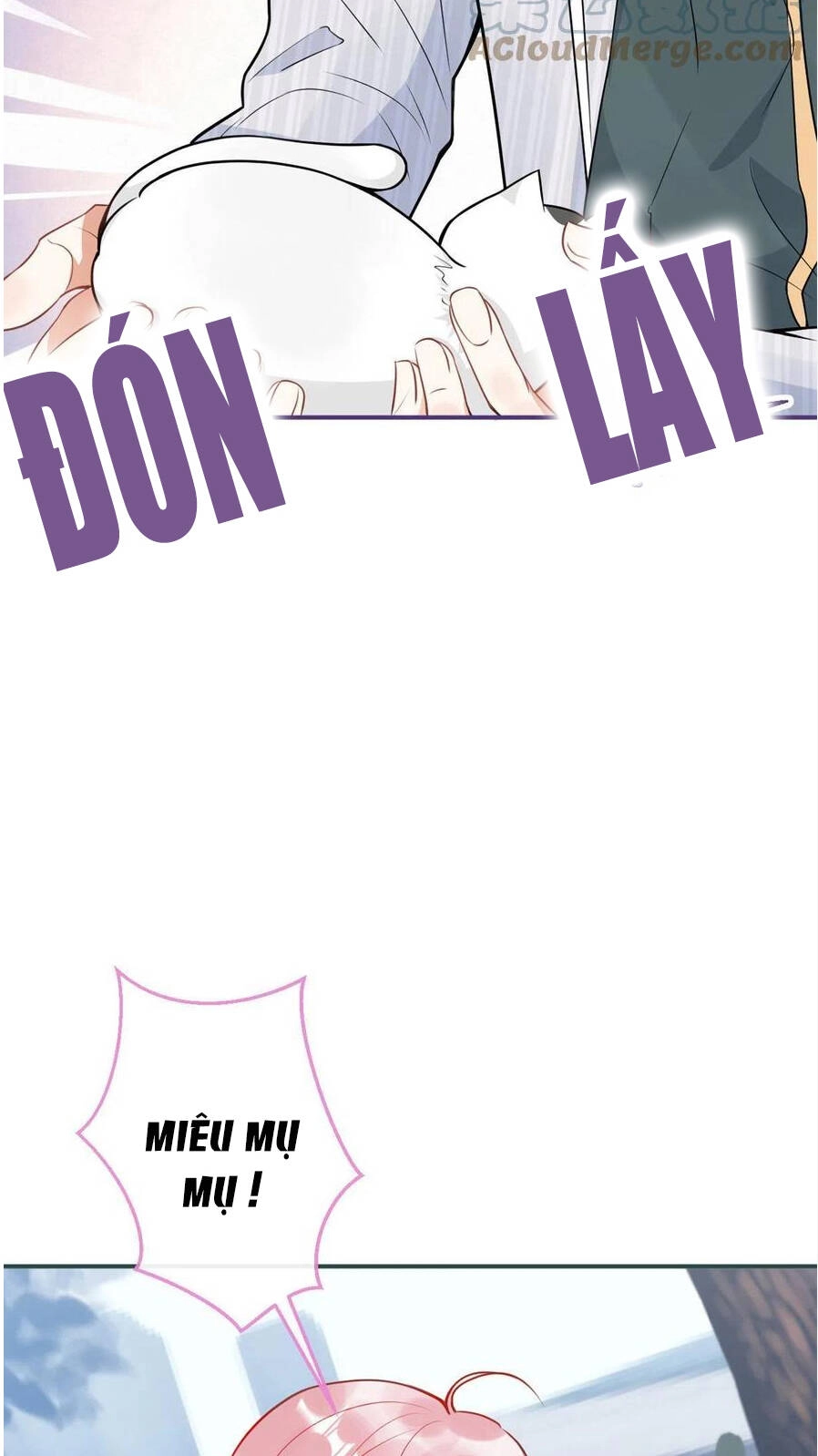 Ta Có Năm Đại Lão Ba Ba Chapter 247 - 10