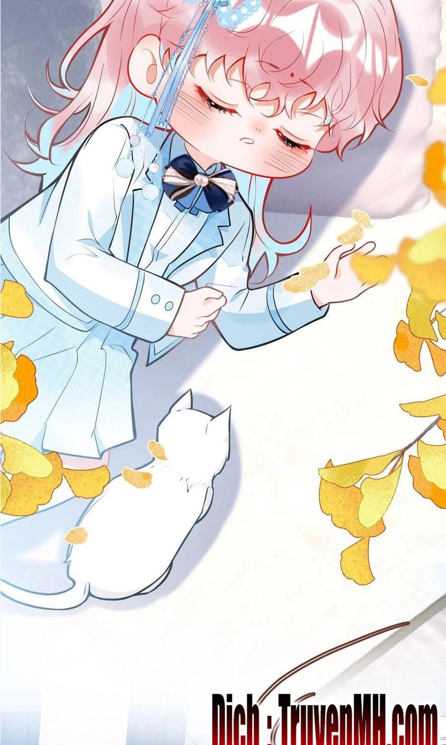 Ta Có Năm Đại Lão Ba Ba Chapter 251 - 8