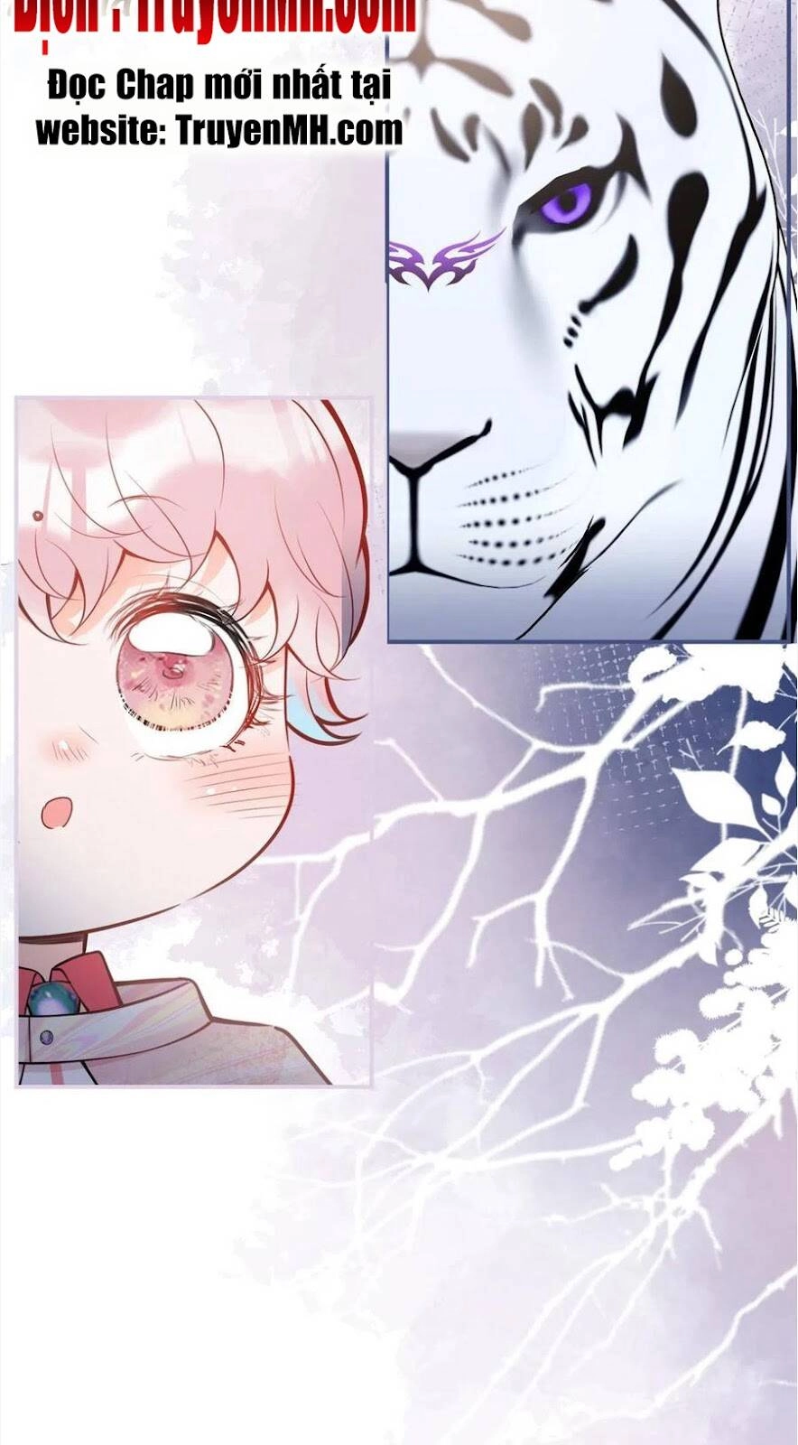 Ta Có Năm Đại Lão Ba Ba Chapter 268 - 9