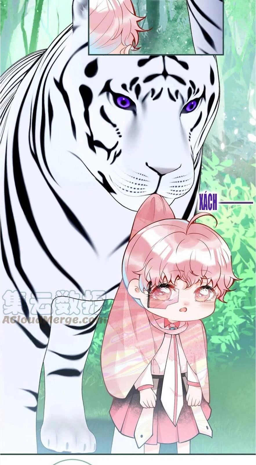 Ta Có Năm Đại Lão Ba Ba Chapter 268 - 19