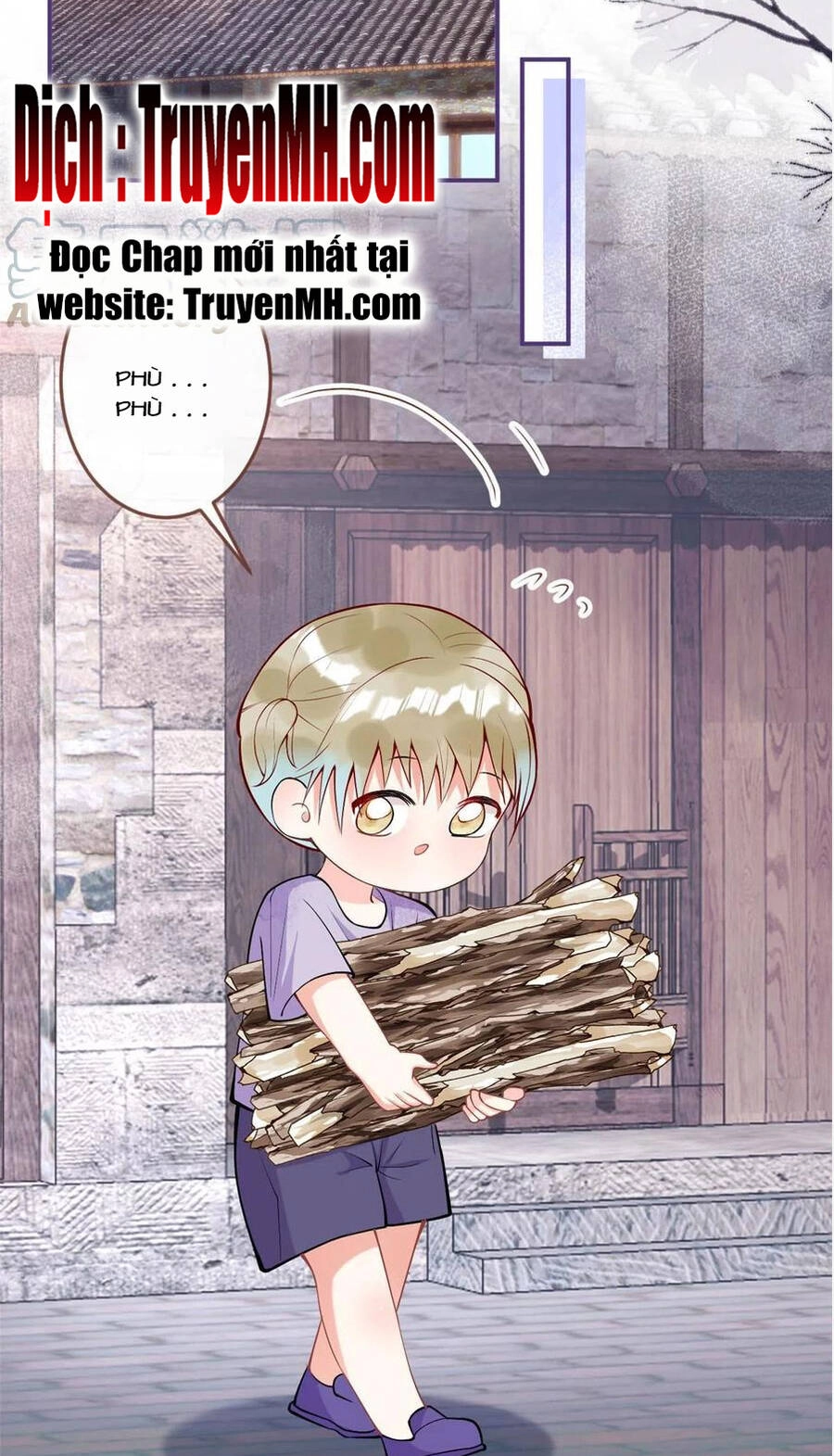 Ta Có Năm Đại Lão Ba Ba Chapter 269 - 14