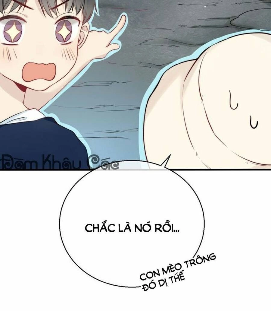 Tiến Gần Đến Trái Tim Em Chapter 12 - 24