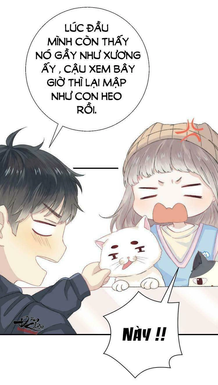 Tiến Gần Đến Trái Tim Em Chapter 29 - 11