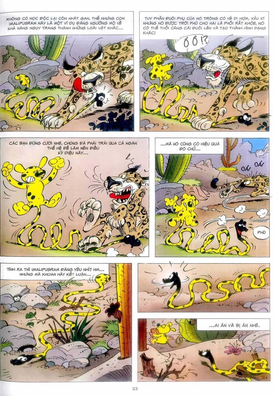 Marsupilami Chapter 4 - 22