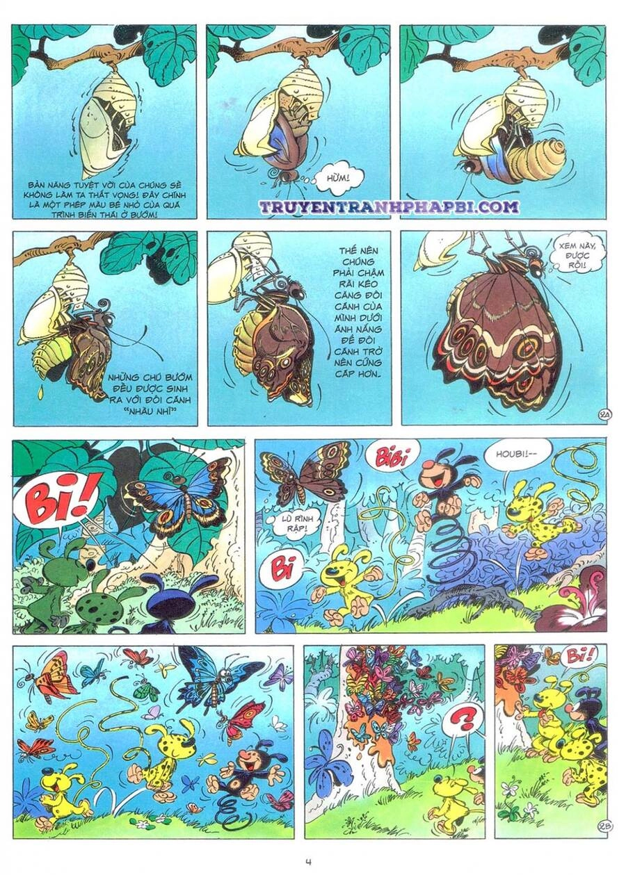 Marsupilami Chapter 9 - 3