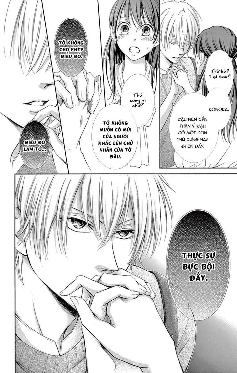 Watashi Wa Tensai O Katte Iru Chapter 1 - 36