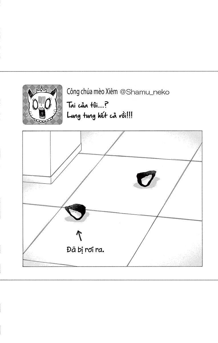 Watashi Wa Tensai O Katte Iru Chapter 12 - 46