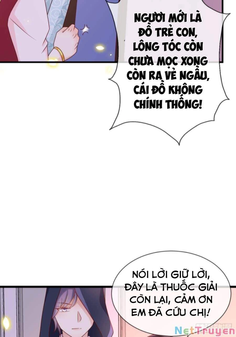 Trò Chơi Trọng Sinh: Hoàng Tử Khó Chiều Chapter 20 - 8