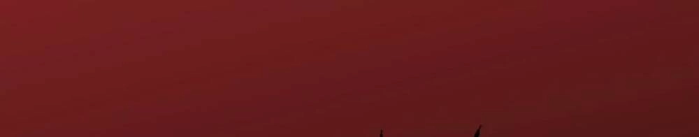 Thời Kỳ Tận Thế Chapter 2 - 15