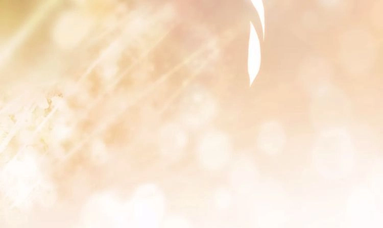 Yêu Tôn Nhất Định Phải Chịu Trách Nhiệm Với Ta Chapter 3 - 60