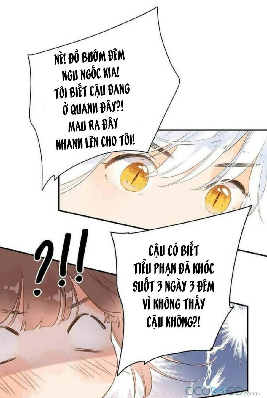 Sos! Tôi Đã Yêu Một Con Sâu Bướm (Phần 2) Chapter 12 - 14