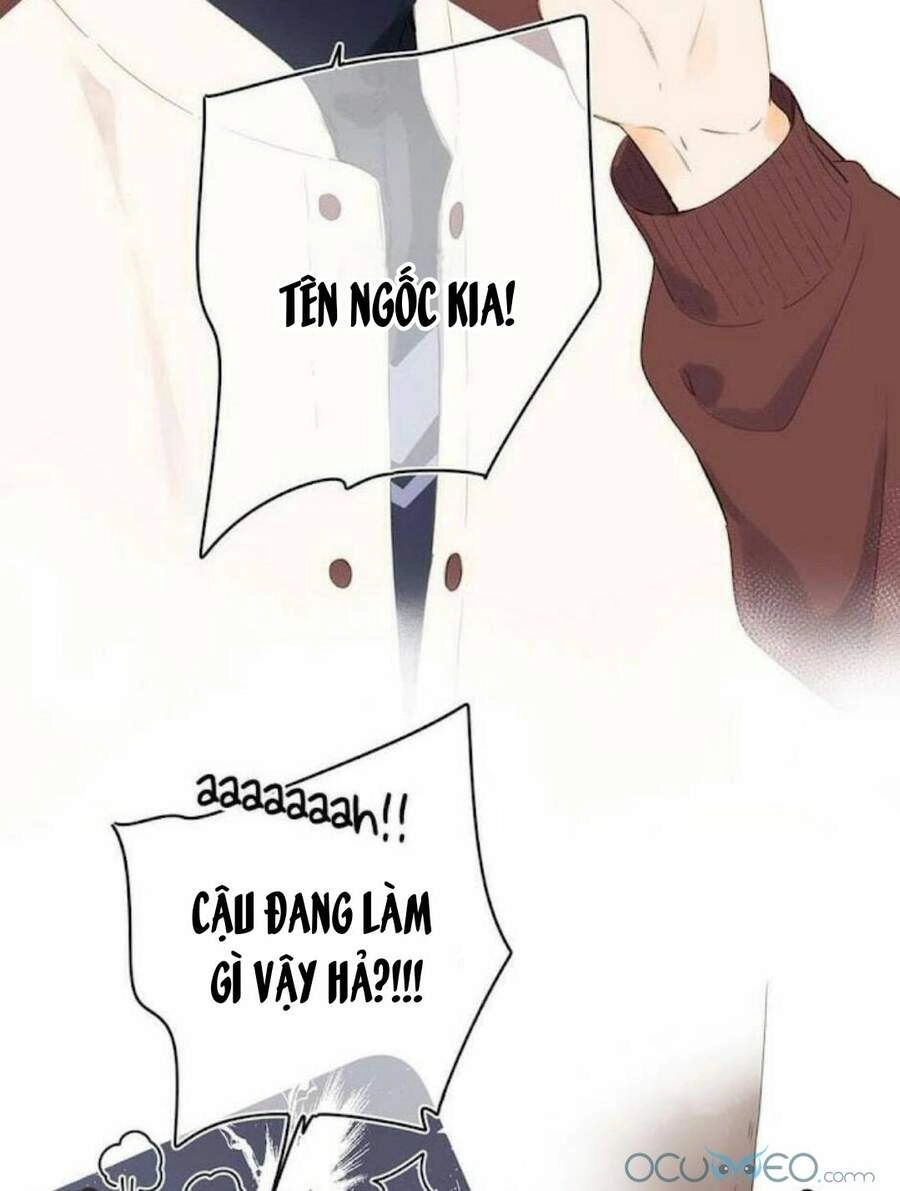 Sos! Tôi Đã Yêu Một Con Sâu Bướm (Phần 2) Chapter 12 - 16